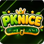 PKNICE Game